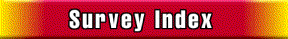 Survey Index